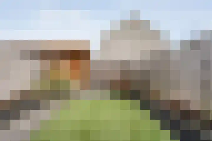 Weidelaan 43 Raalte thumbnail 33