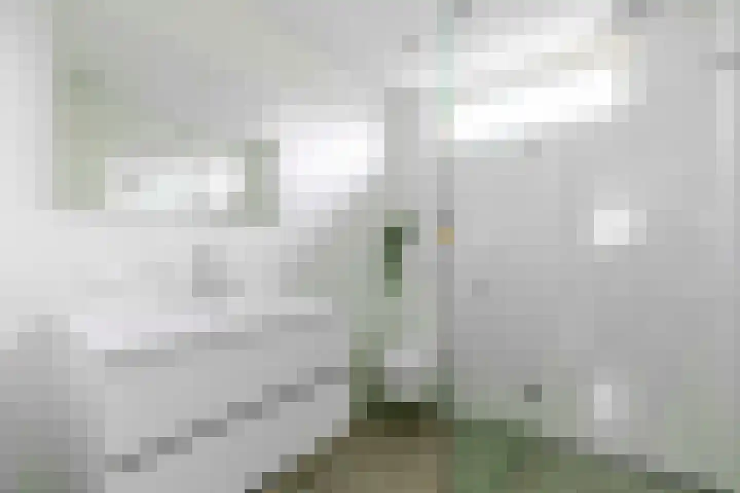 Weidelaan 5 Leersum thumbnail 20