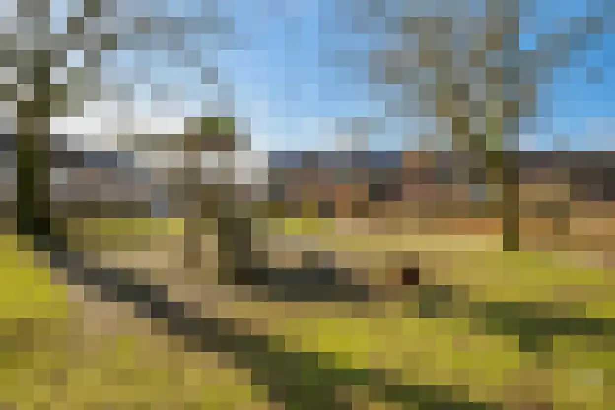 Weidelaan 5 Leersum thumbnail 35