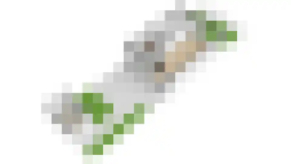 Weidelaan 5 Leersum thumbnail 50