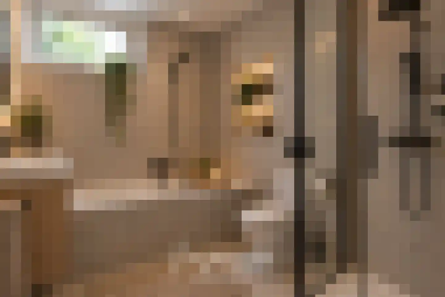 Weidelaan 57 Raalte thumbnail 34