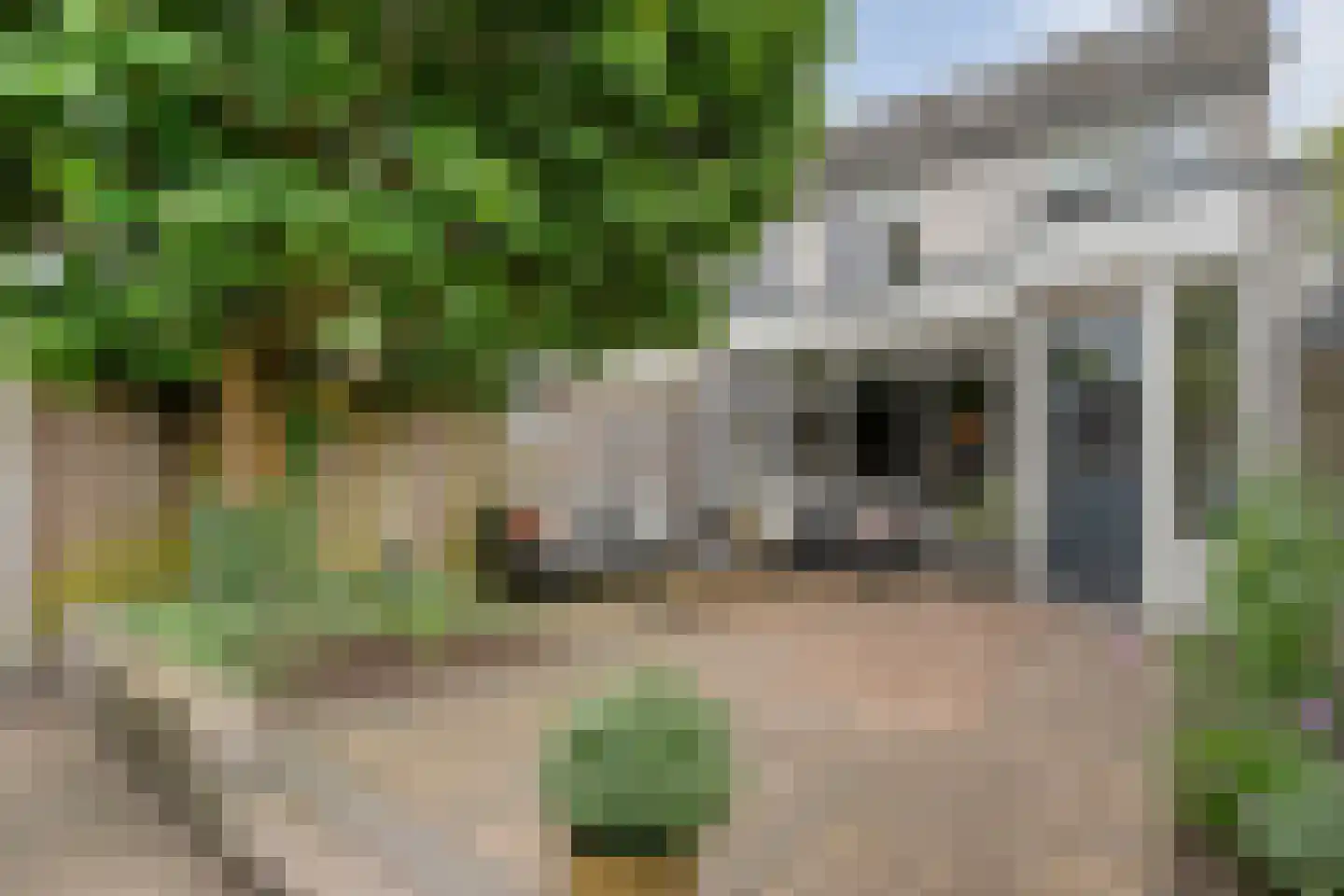 Weidelaan 57 Raalte thumbnail 36
