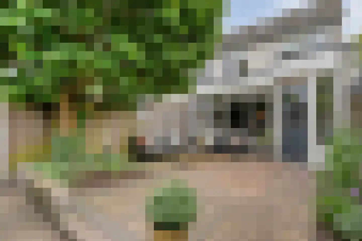 Weidelaan 57 Raalte thumbnail 40