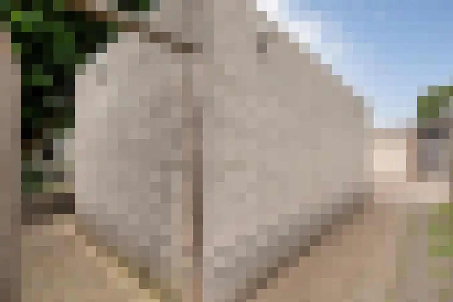 Weidelaan 57 Raalte thumbnail 42