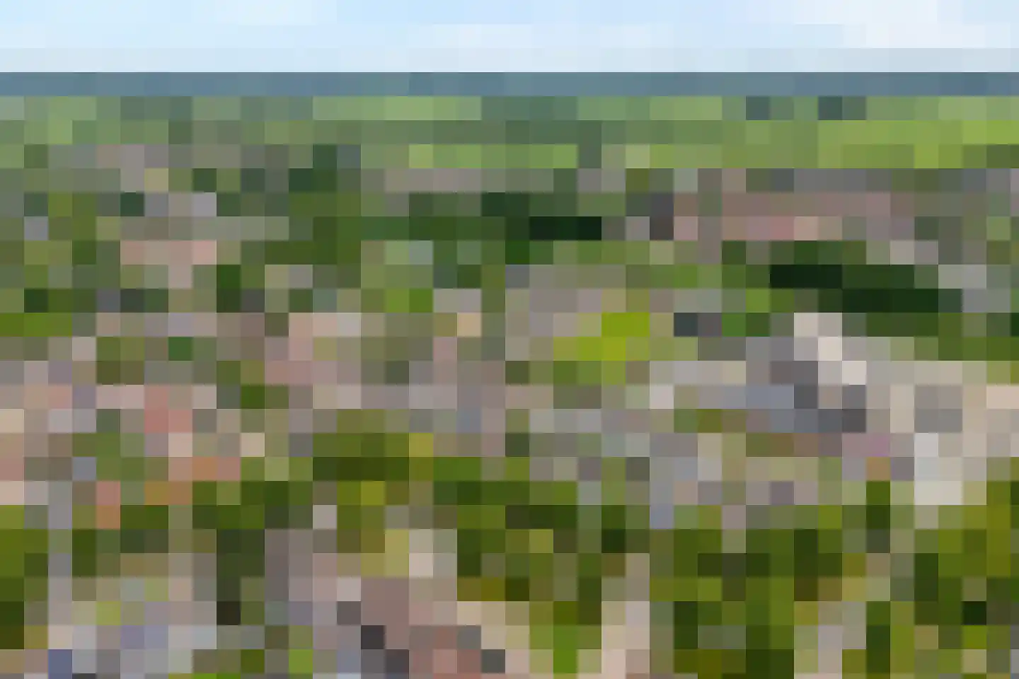 Weidelaan 57 Raalte thumbnail 43
