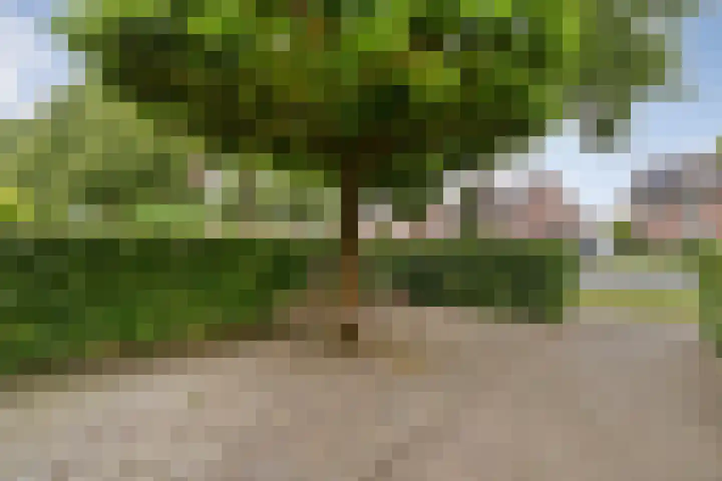 Weidelaan 57 Raalte thumbnail 7