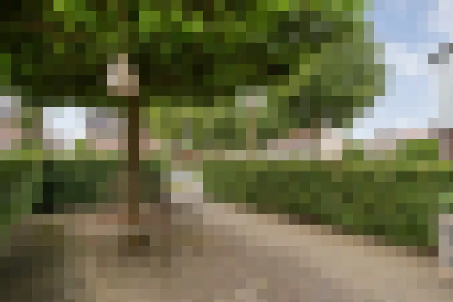 Weidelaan 57 Raalte thumbnail 8