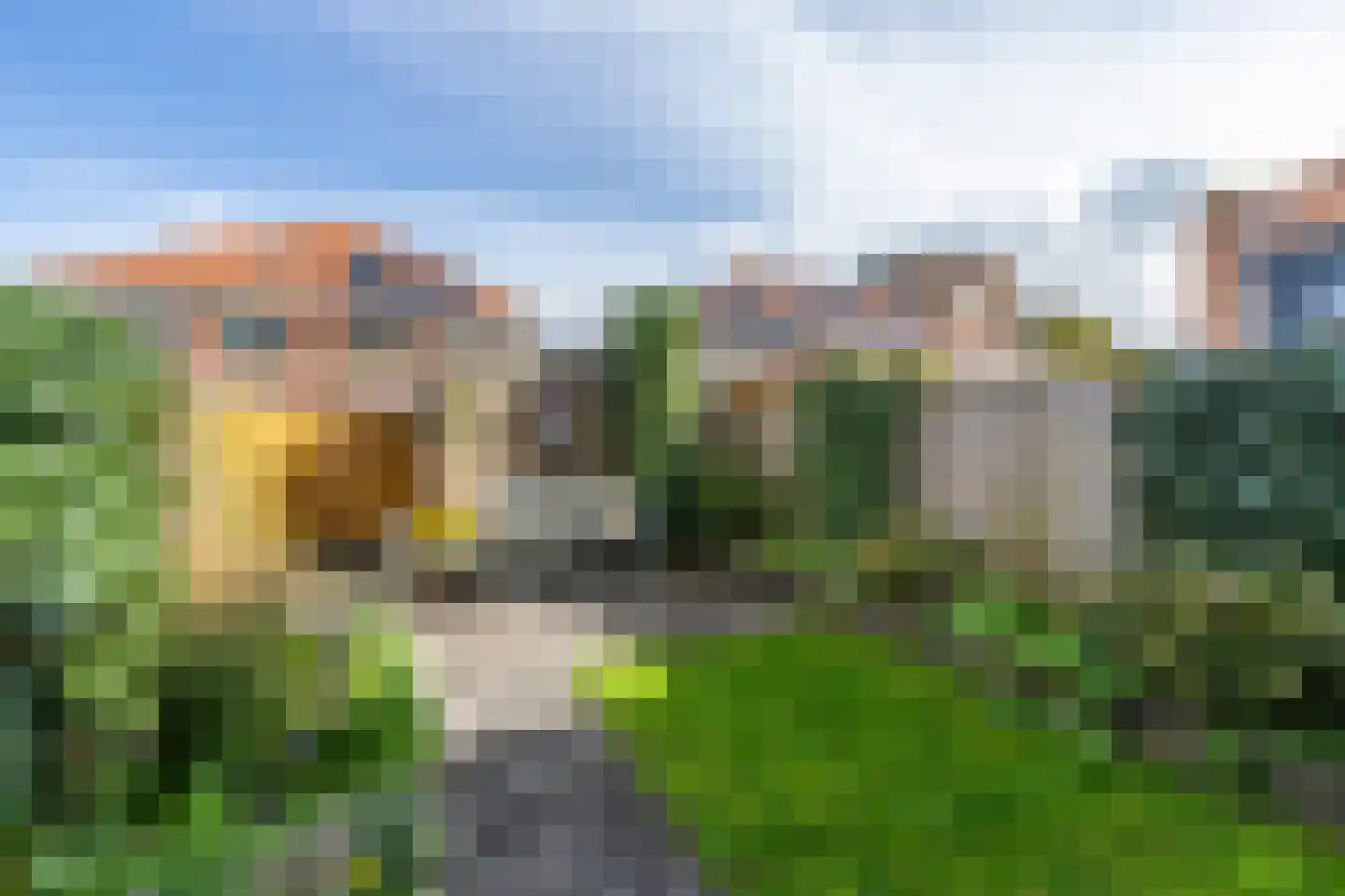 Weideland 10 Den Hoorn thumbnail 15