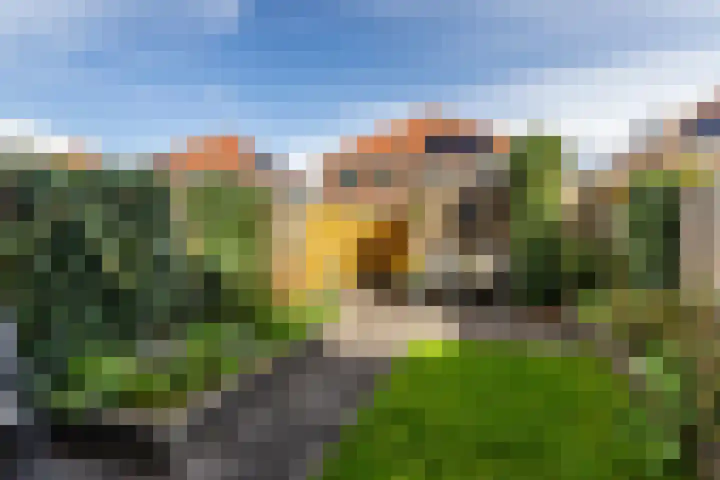 Weideland 10 Den Hoorn thumbnail 16