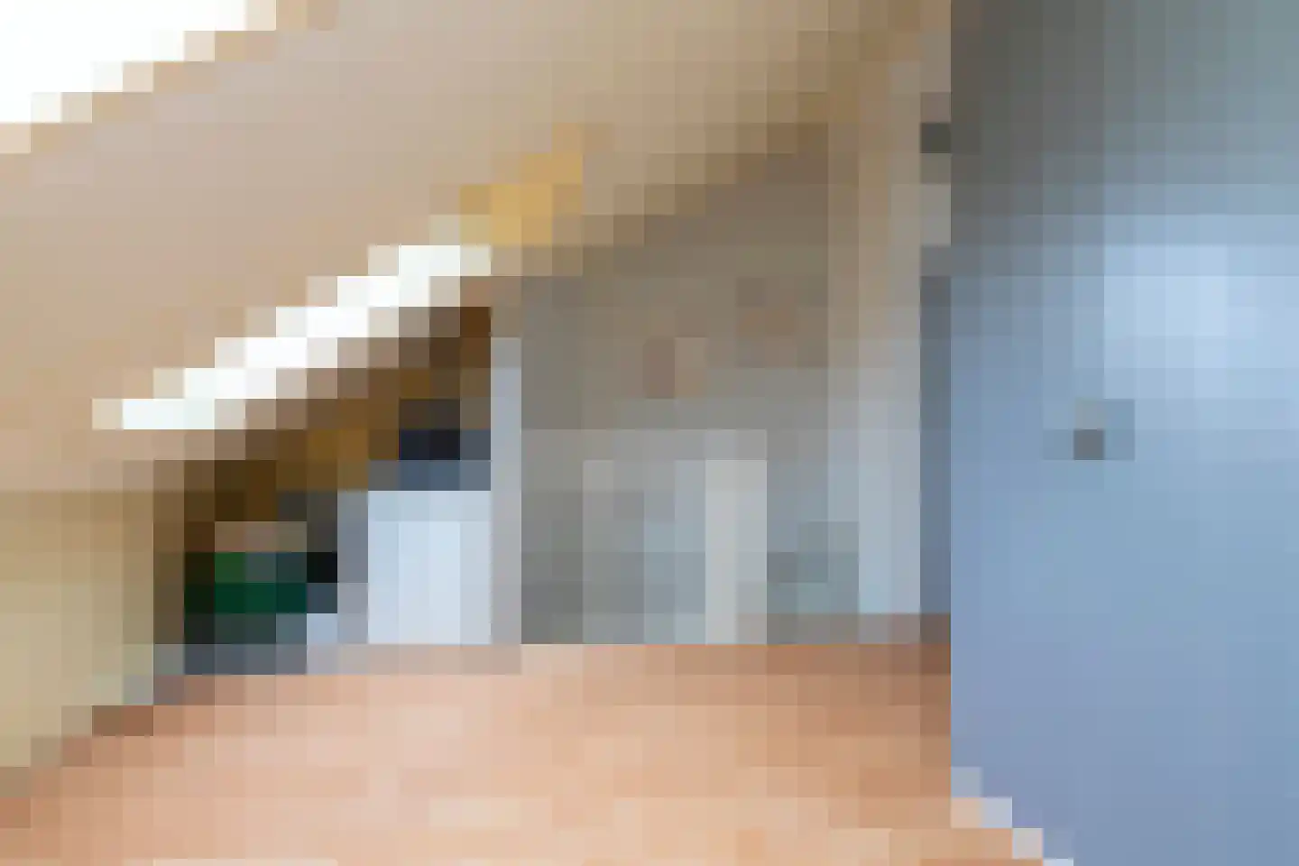 Weideland 10 Den Hoorn thumbnail 32