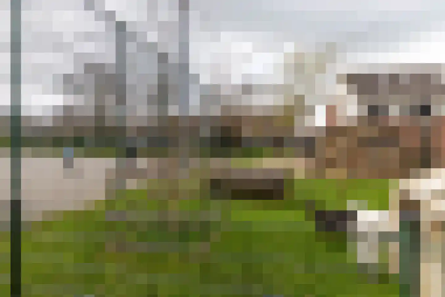 Weideland 10 Den Hoorn thumbnail 34