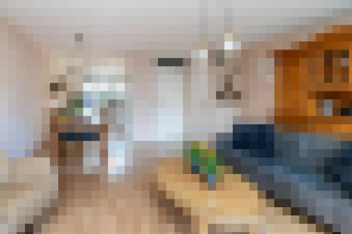 Weideland 10 Den Hoorn thumbnail 9