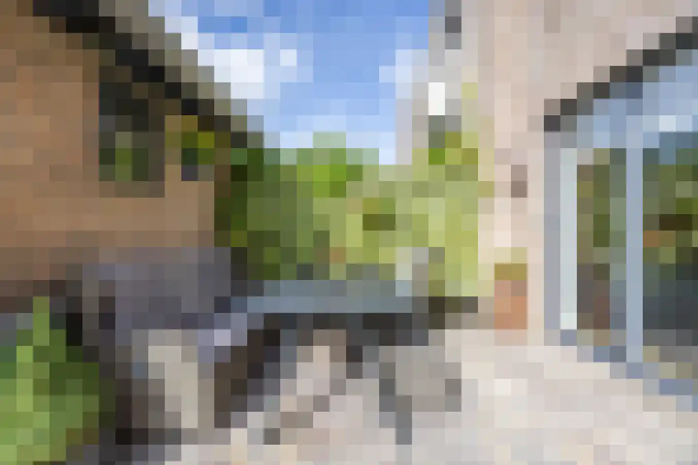 Weideland 16 Assendelft thumbnail 17