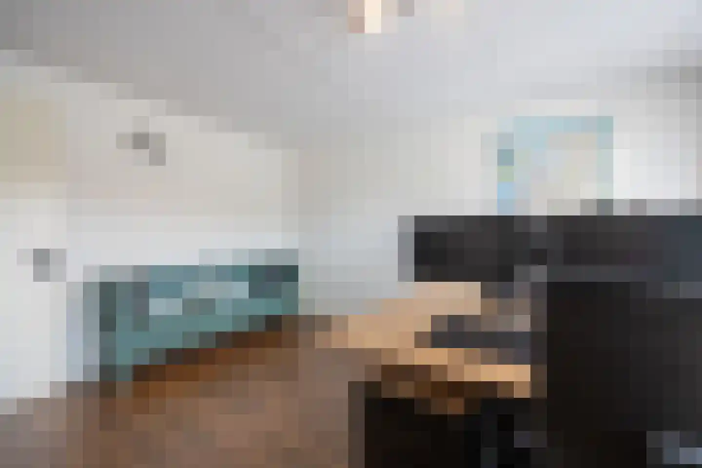 Weideland 16 Assendelft thumbnail 32