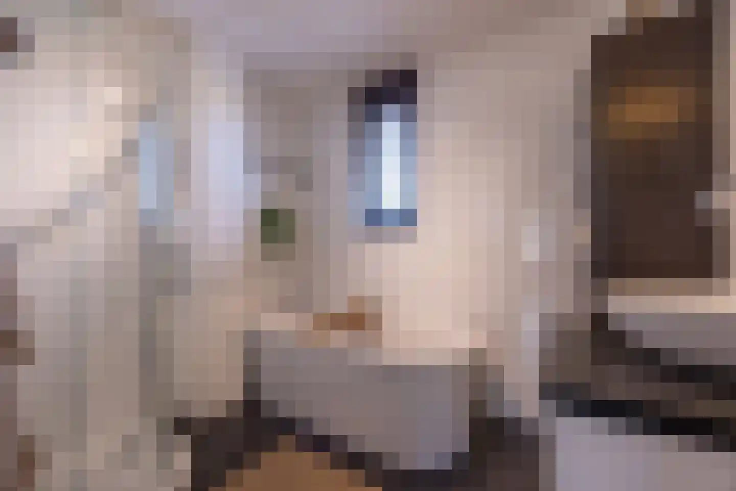 Weideland 16 Assendelft thumbnail 35