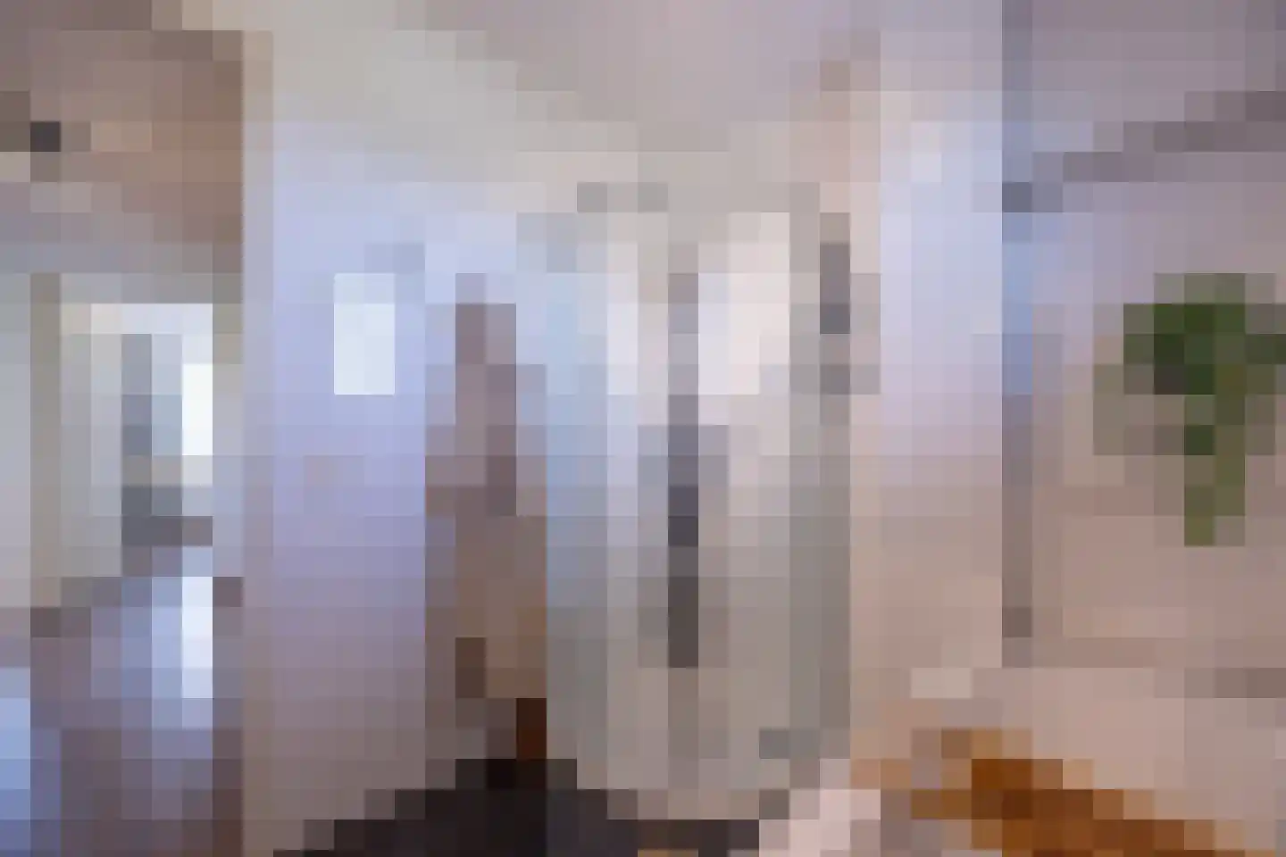 Weideland 16 Assendelft thumbnail 37