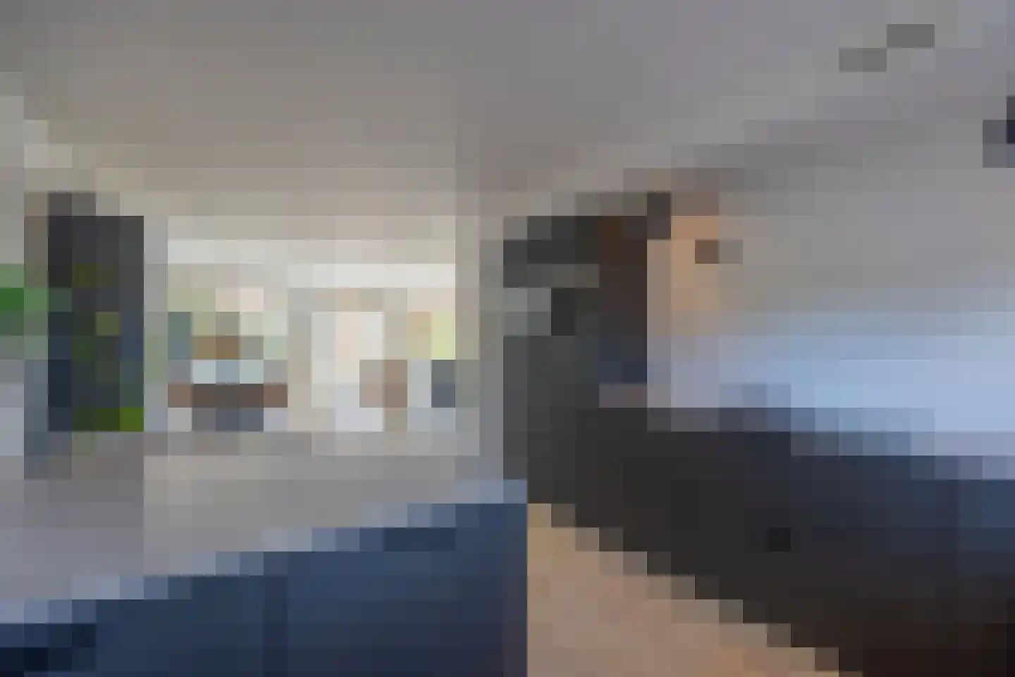 Weideland 16 Assendelft thumbnail 4
