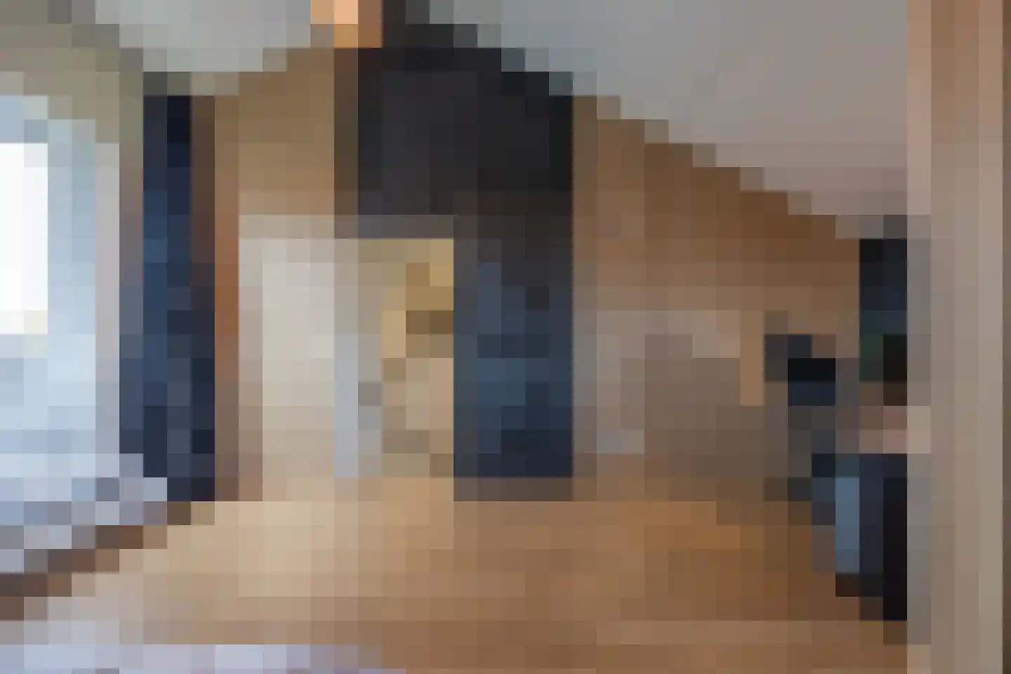 Weideland 16 Assendelft thumbnail 44