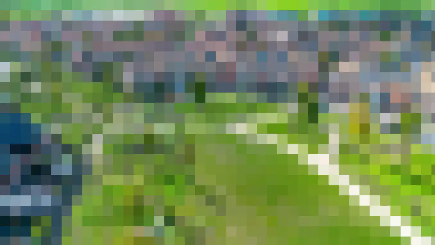Weideland 16 Assendelft thumbnail 49