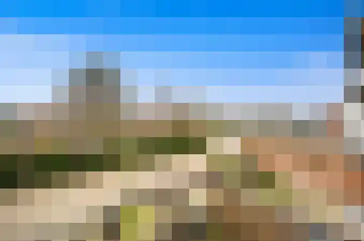 Weideland 19 Den Hoorn thumbnail 21