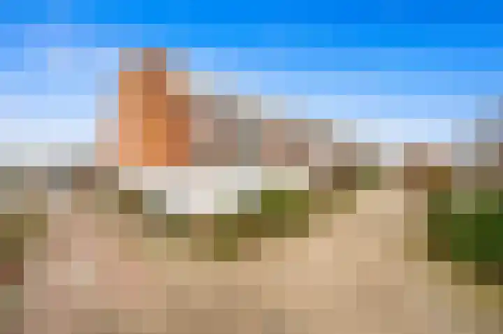 Weideland 19 Den Hoorn thumbnail 25