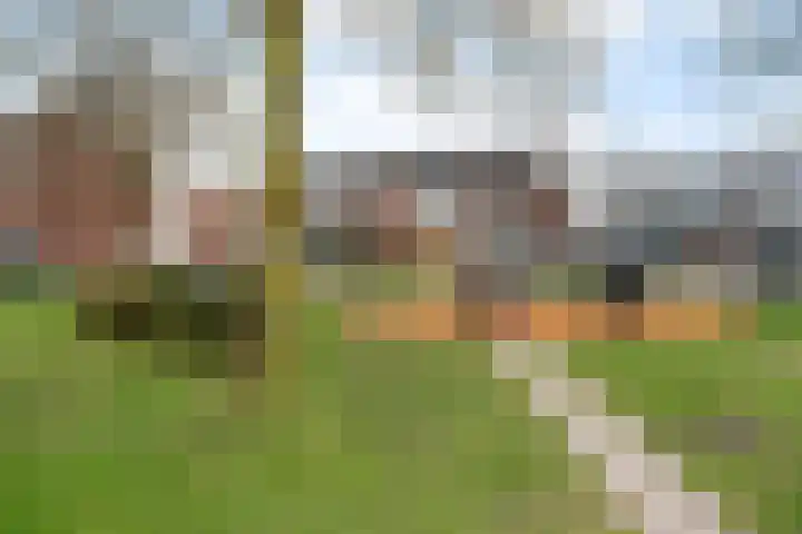 Weideland 19 Den Hoorn thumbnail 27