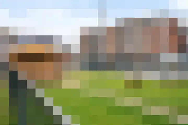 Weideland 19 Den Hoorn thumbnail 28