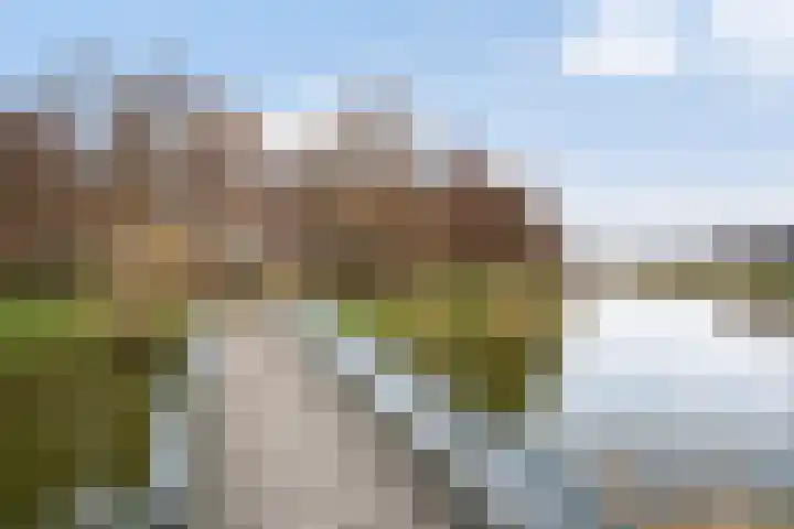 Weideland 19 Den Hoorn thumbnail 29