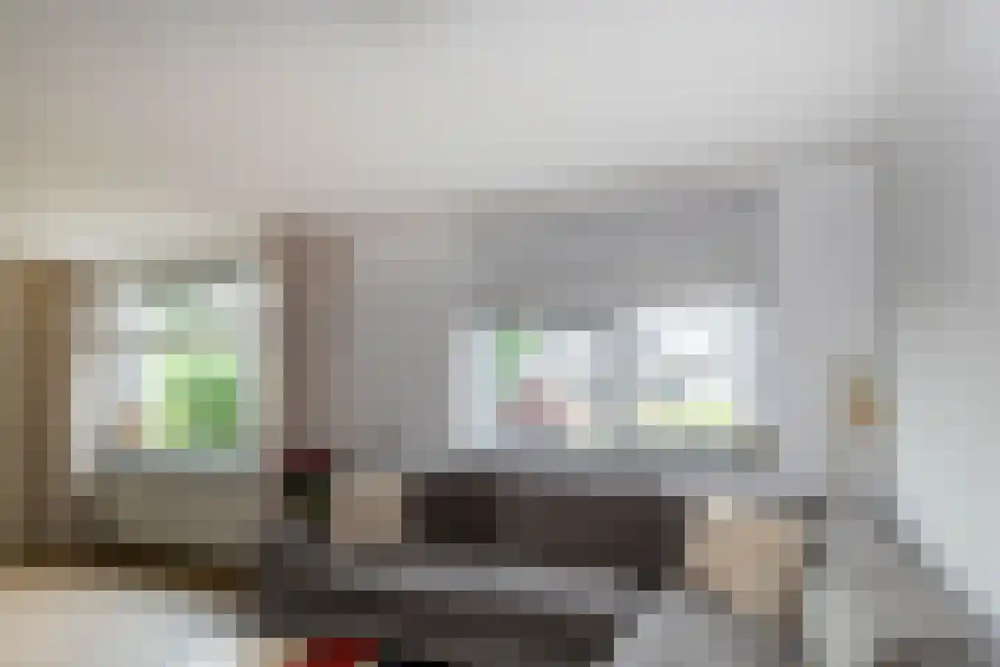Weideland 69 Den Hoorn thumbnail 10