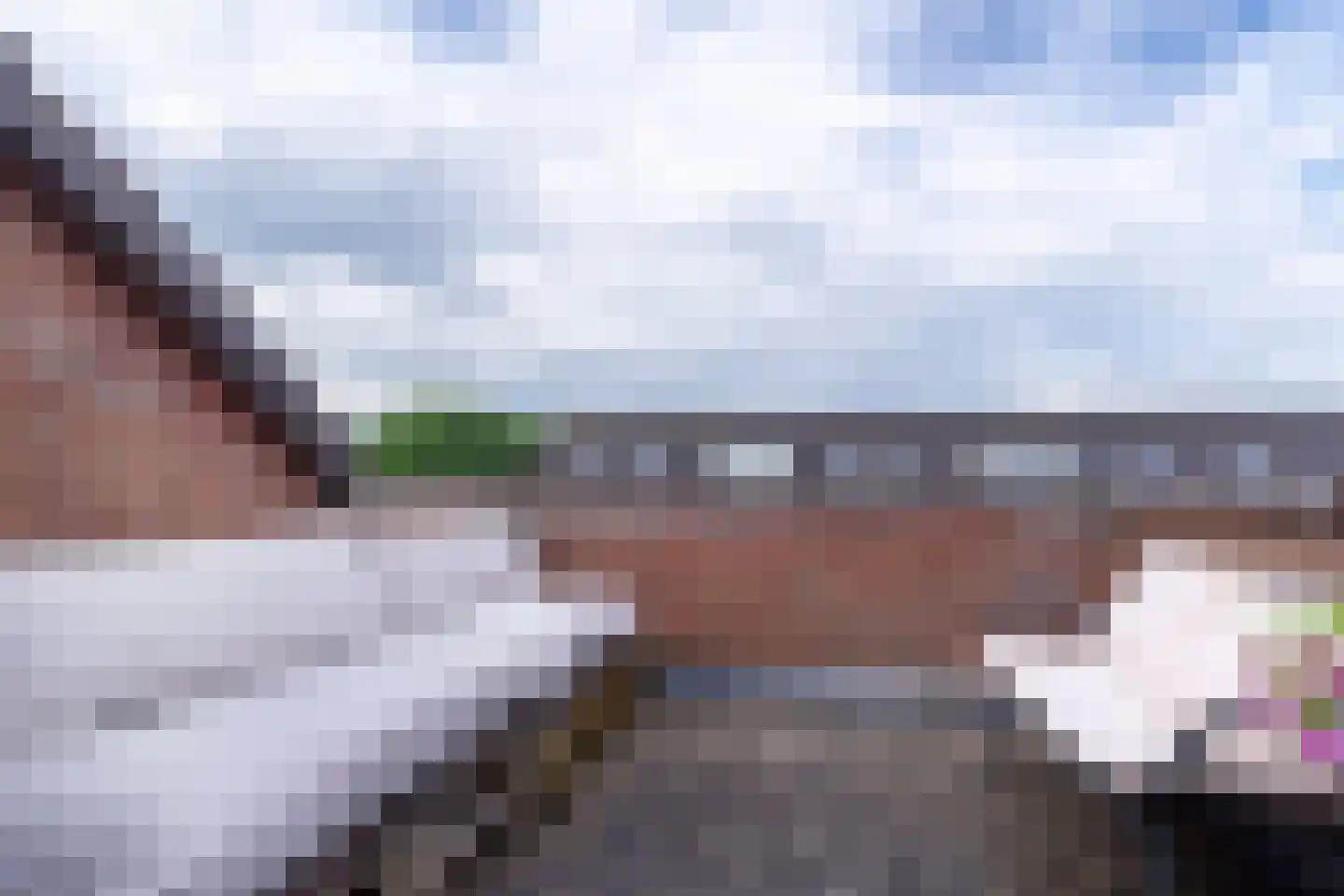 Weideland 69 Den Hoorn thumbnail 33