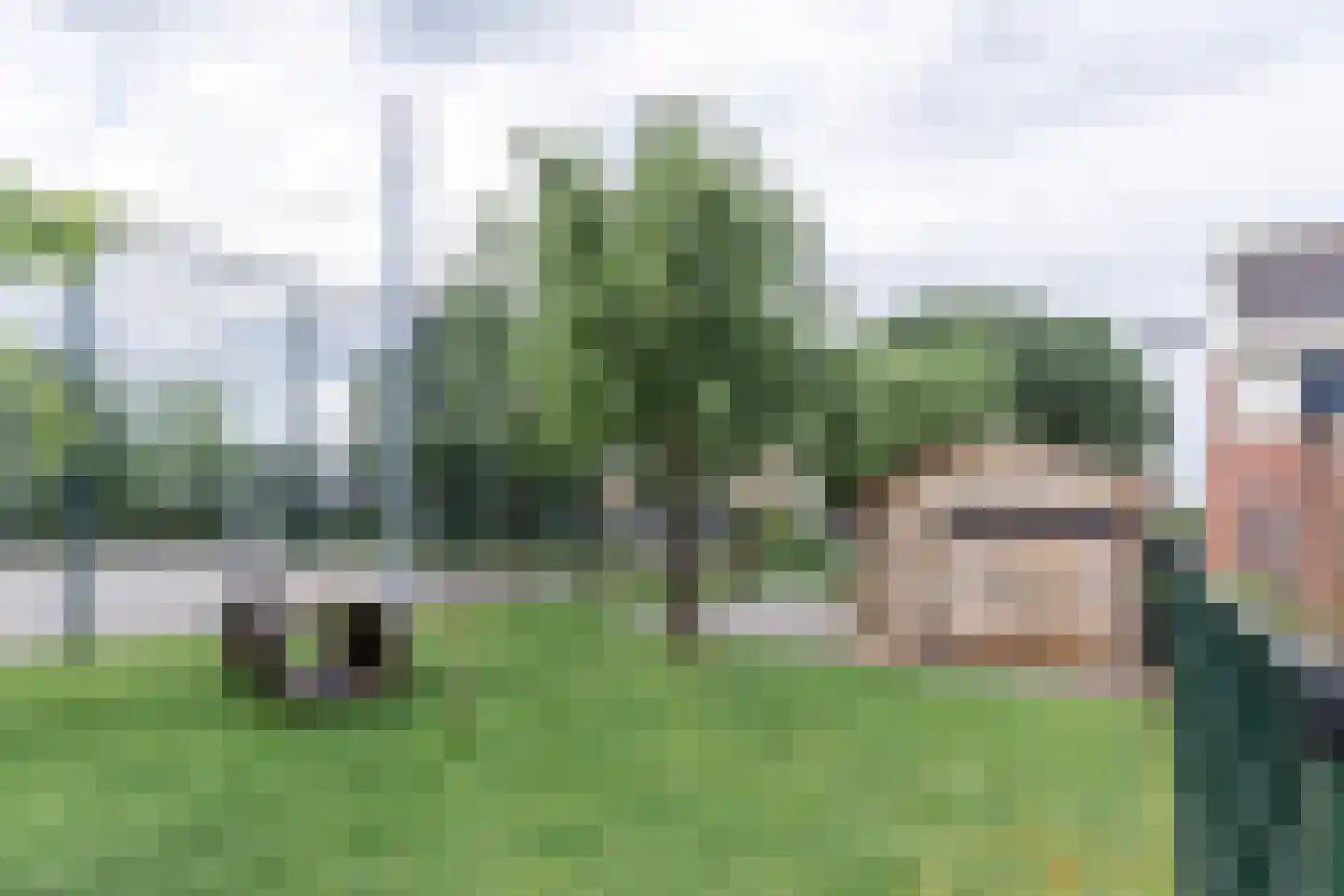 Weideland 69 Den Hoorn thumbnail 38
