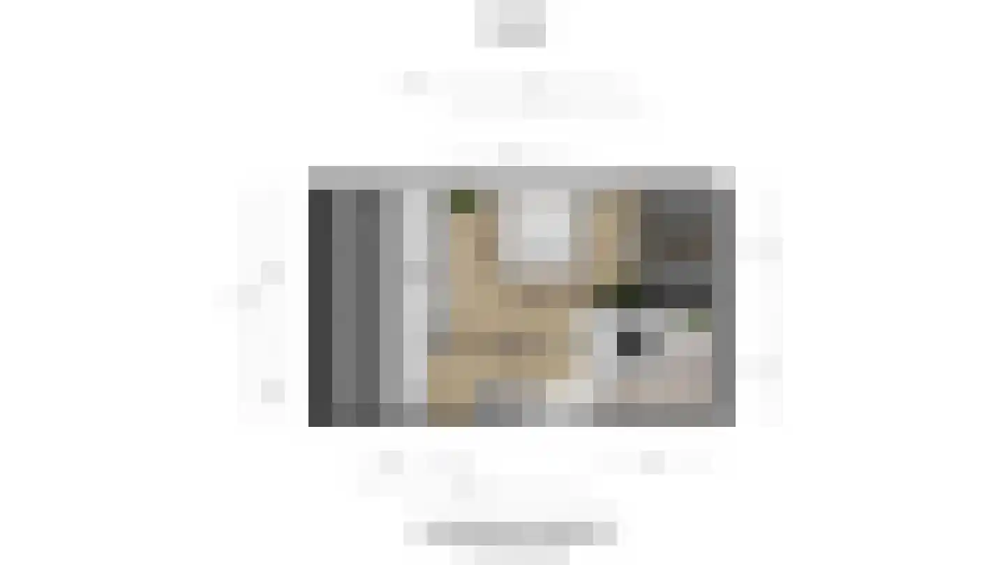 Weideland 69 Den Hoorn thumbnail 42