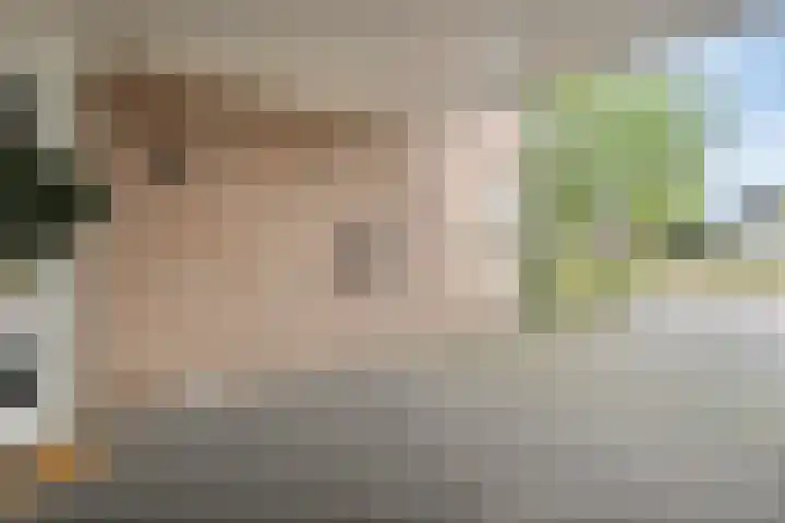 Weidelanden 11 Lemelerveld thumbnail 10