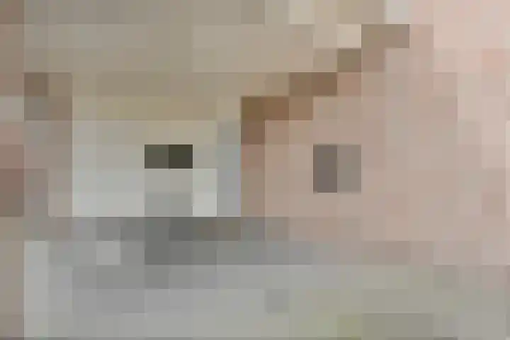 Weidelanden 11 Lemelerveld thumbnail 11