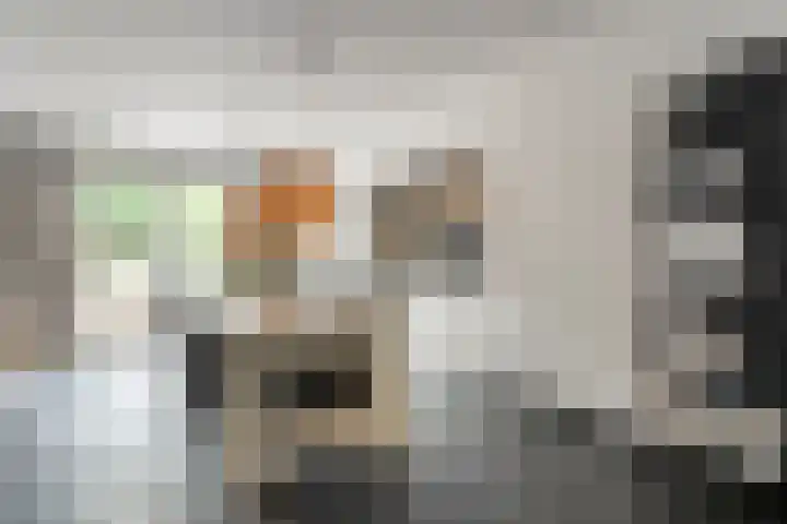 Weidelanden 11 Lemelerveld thumbnail 23
