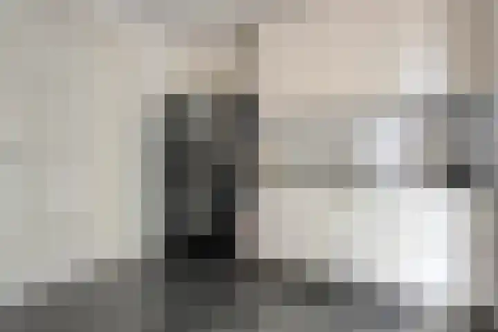 Weidelanden 11 Lemelerveld thumbnail 25