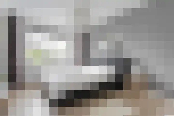 Weidelanden 11 Lemelerveld thumbnail 31