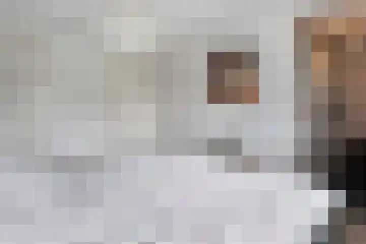 Weidelanden 11 Lemelerveld thumbnail 32