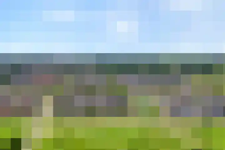 Weidelanden 11 Lemelerveld thumbnail 4
