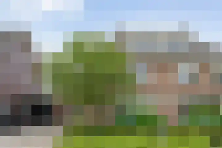 Weidelanden 11 Lemelerveld thumbnail 5