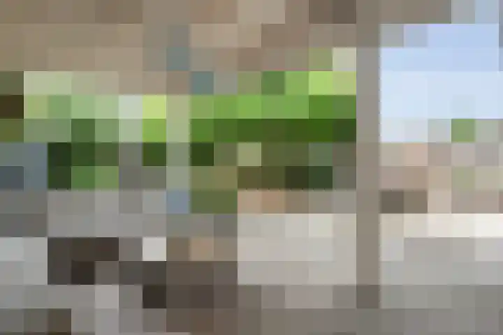Weidelanden 11 Lemelerveld thumbnail 51