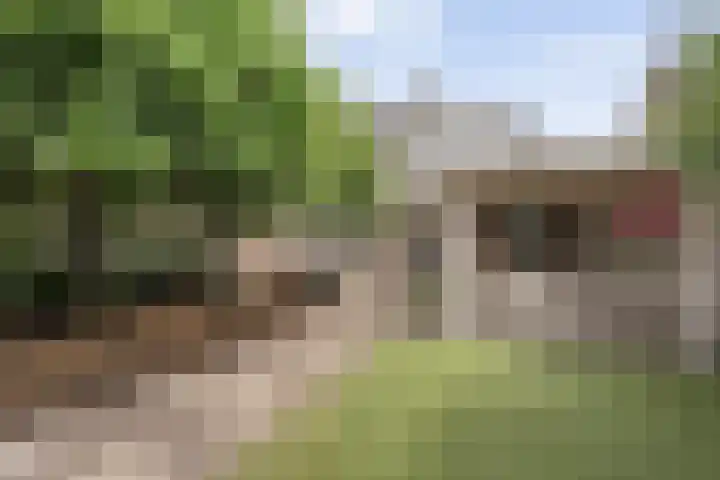 Weidelanden 11 Lemelerveld thumbnail 54