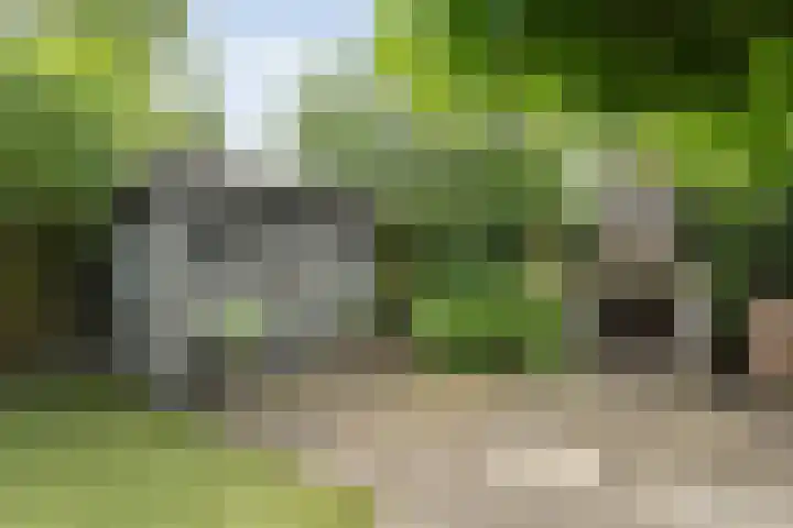 Weidelanden 11 Lemelerveld thumbnail 55