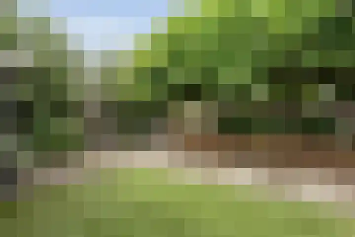Weidelanden 11 Lemelerveld thumbnail 56