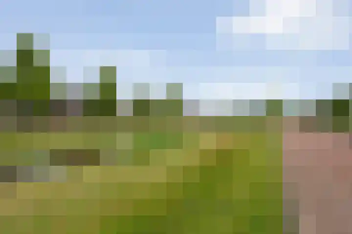 Weidelanden 11 Lemelerveld thumbnail 6