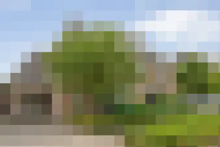 Weidelanden 11 Lemelerveld thumbnail 68