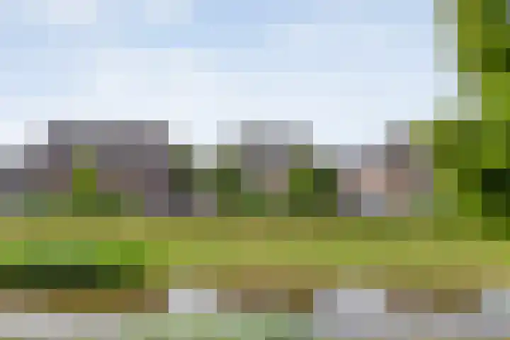 Weidelanden 11 Lemelerveld thumbnail 7