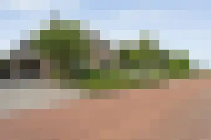 Weidelanden 11 Lemelerveld thumbnail 8