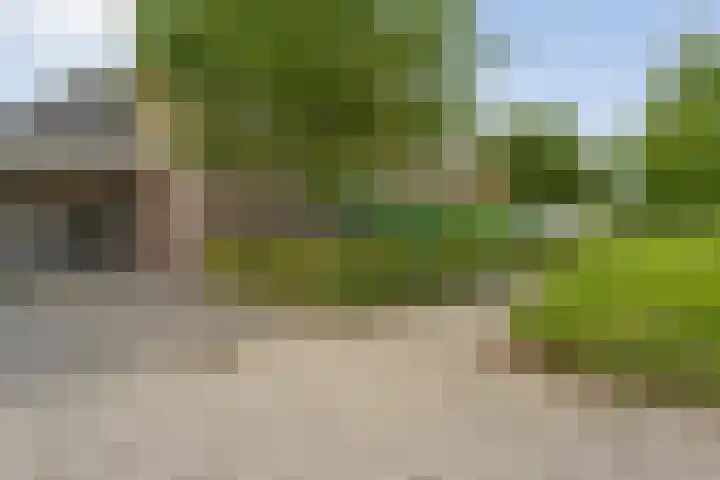 Weidelanden 11 Lemelerveld thumbnail 9
