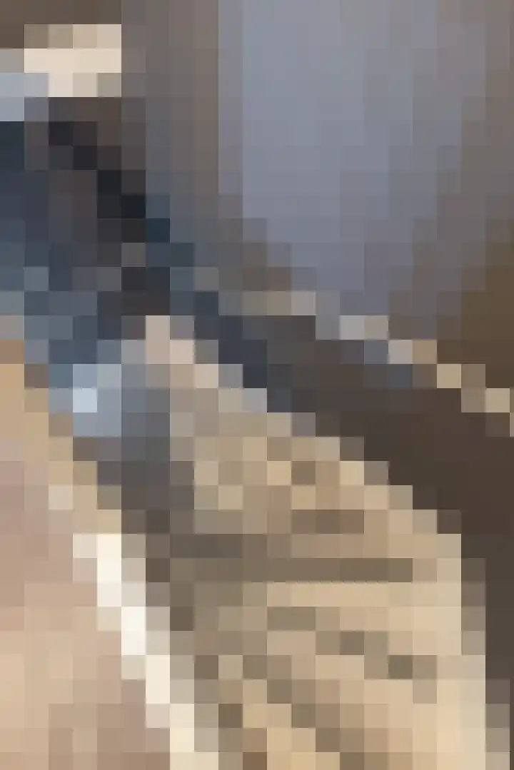 Weidelanden 2 A Lemelerveld thumbnail 12